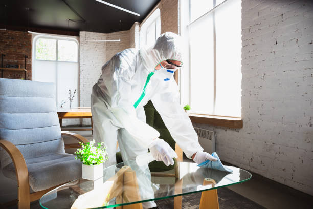 Sheffield, OH Mold Removal & Remediation Company